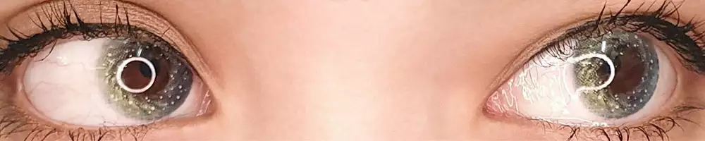 Vestlige øjne Western Eyes Qlo Gray 7 Vestlige øjne Western Eyes Qlo Gray - Billede 5