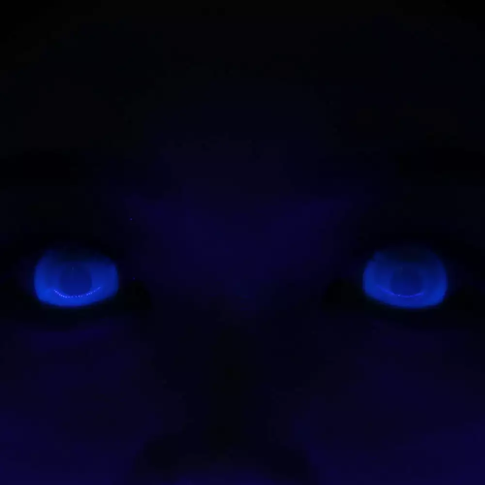 Lille Skat Sweety UV Mini Sclera White Blind Mesh 5 Lille Skat Sweety UV Mini Sclera White Blind Mesh - Billede 3