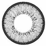 Kazzue Blytheye Gray 6 Kazzue Blytheye Gray - Billede 4