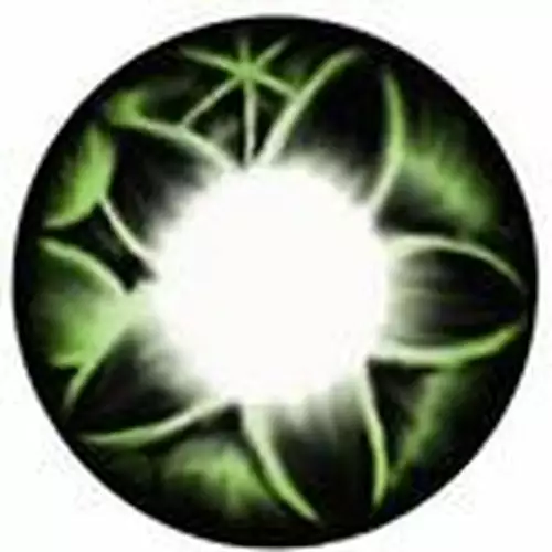 Kimchi Flora Grøn 3 Kimchi Flora Grøn