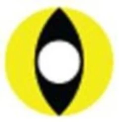 Lille Skat Sweety Crazy Yellow Cat -Motorsav Mand Butik GEO Crazy Lens SFY05