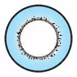 I.Fejer I.Fairy Moonlite Blue