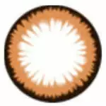 I.Fejer I.Fairy Mandond Brown