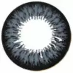 I.Fejer I. Fairy Ash Grey