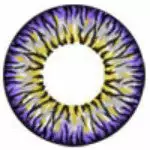 I.Fejer I.Fairy Casper Gray