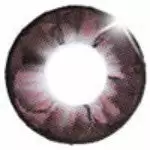 Barbie Eclipse Violet