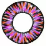 I.Fejer I.Fairy Luna Violet