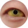 Lille Skat Sweety Yellow Sclera Kontakter -Motorsav Mand Butik IMG 8349