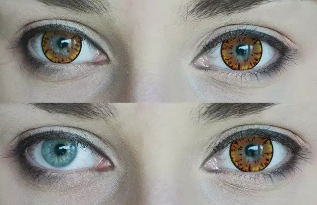 Barbie Cara Brown 4 Barbie Cara Brown - Billede 2