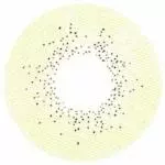 Lille Skat Sweety Ocean Brun Grøn