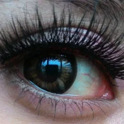 Lille Skat Sweety Pop C Mørkebrun 9 Lille Skat Sweety Pop C Mørkebrun -Motorsav Mand Butik Sweety pop c dark brown a