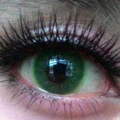 Western Eye Solotica Grøn -Motorsav Mand Butik Sweety solotica green a