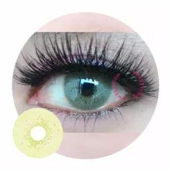 Western Eye Spatax Brown