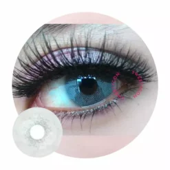 Western Eye Spatax Grå