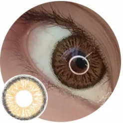 Urban Lag Urban Layer Almaty Brown