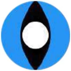 Lille Skat Sweety Crazy Aqua Cat -Motorsav Mand Butik aqua cat