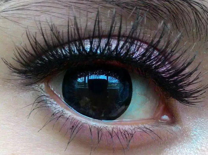 Barbie Clovis Violet 5 Barbie Clovis Violet - Billede 3