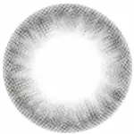 Barbie Secret Kiss Grey