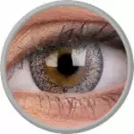 Colorvue Fizzy Champagne Sølv