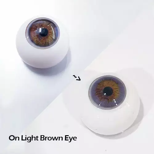 EOS Delling Lavendel 6 EOS Delling Lavendel - Billede 4