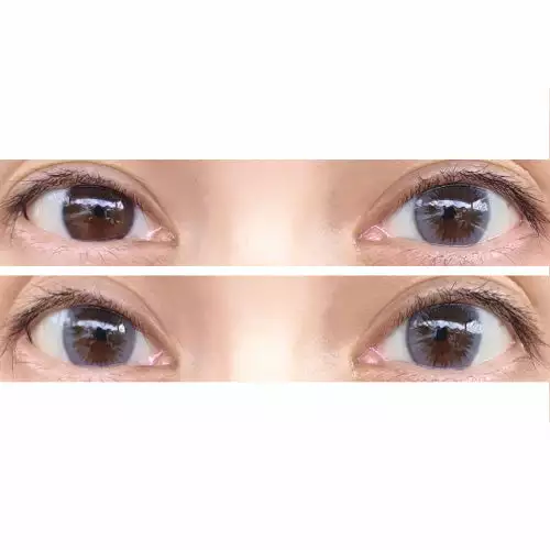 EOS Delling Lavendel 4 EOS Delling Lavendel - Billede 2