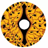 Lille Skat Sweety Crazy Game Of Thrones - Dragon Eyes