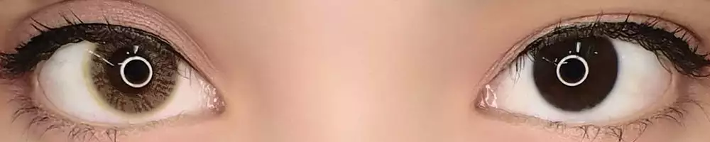 EOS Fluffy Hazel 5 EOS Fluffy Hazel - Billede 3