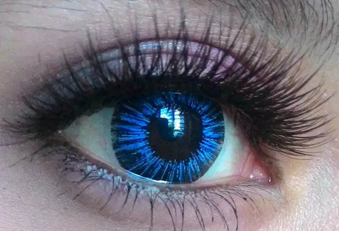 EOS Neonskilt Blå 4 EOS Neonskilt Blå - Billede 2