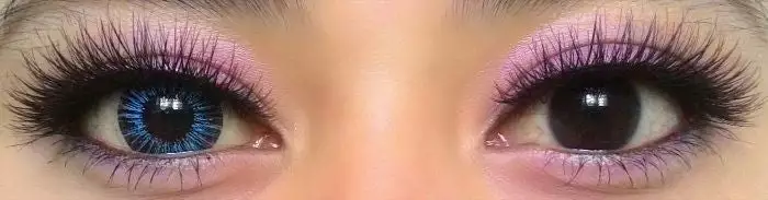 EOS Neonskilt Blå 5 EOS Neonskilt Blå - Billede 3