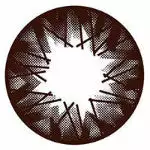 I-Codi Eclipse IC1 15 Brun