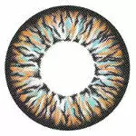 I-Codi Eclipse IC3 31 Brun