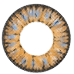 I-Codi Eclipse IC4-09 Ren Alder Brun