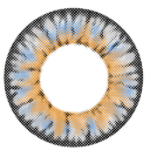 I-Codi Eclipse IC4-09 Ren Alder Grå