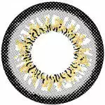 I.Fejer I.Fairy Persisk Grå