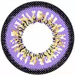 I.Fejer I.Fair Persian Violet