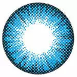 I.Fejer I. Fairy Poppy Blue