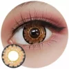 I-Codi Naty IC3 06 Sommerfuglbrun 2 I-Codi Naty IC3 06 Sommerfuglbrun -Motorsav Mand Butik ic3 06brown eye