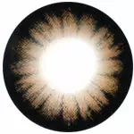 Kazzue Hyperopia Classic Brown