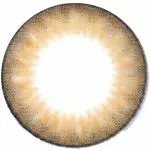 Kazzue Hyperopia Concept Brun