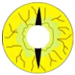 Lille Skat Sweety Crazy Dragonfly -Motorsav Mand Butik kr154 dragonfly