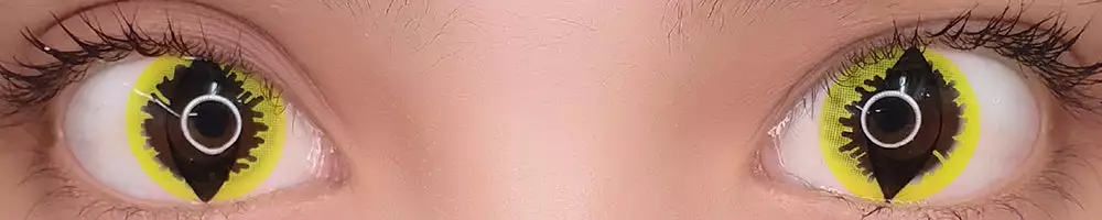 Lille Skat Sweety Crazy Yellow Dragon II 5 Lille Skat Sweety Crazy Yellow Dragon II - Billede 3