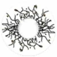 Lille Skat Sweety Crazy Vortex