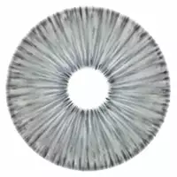 Urban Lag Urban Layer New York Gray - NY