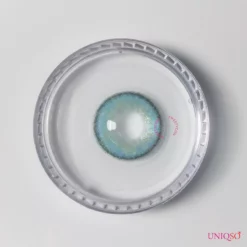 Lille Skat Sød Russisk Blå -Motorsav Mand Butik russianblue closeup scaled