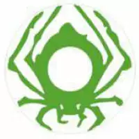 Lille Skat Sweety Crazy Green Spider