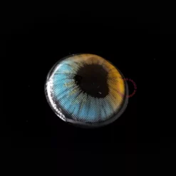 Lille Skat Sweety Anime Shining Heart Blå Brun -Motorsav Mand Butik shiningheartsblue scaled