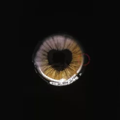 Lille Skat Sweety Anime Shining Heart Violet Brun 9 Lille Skat Sweety Anime Shining Heart Violet Brun -Motorsav Mand Butik shiningheartspurple02 scaled