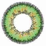 Lille Skat Sweety Valmue Grøn